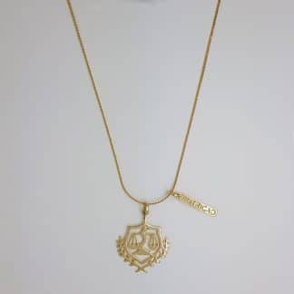 Colar Profissões Nutrição Duplo